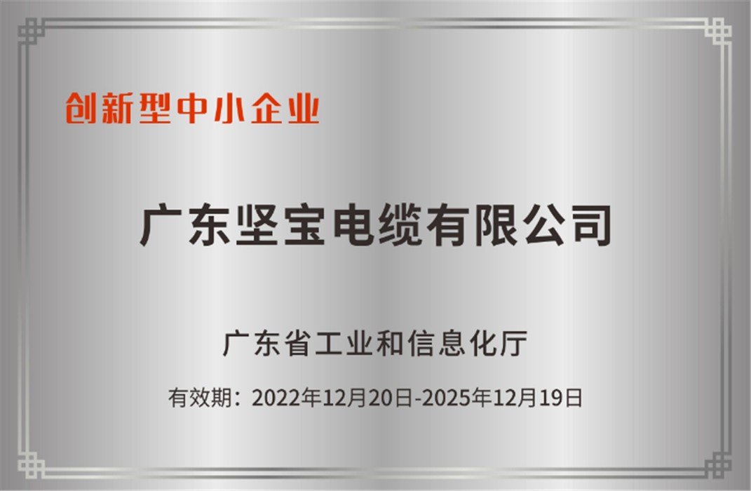 創(chuàng  )新型中小企業(yè)