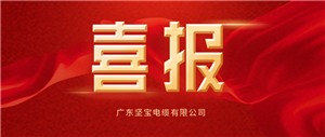 堅寶榮譽(yù)丨祝賀！堅寶榮登2022年廣東省“專(zhuān)精特新中小企業(yè)”榜單